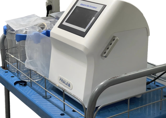 厌氧培养�pȝ���Q�怎么成�ؓ厌氧工作站的降本王牌